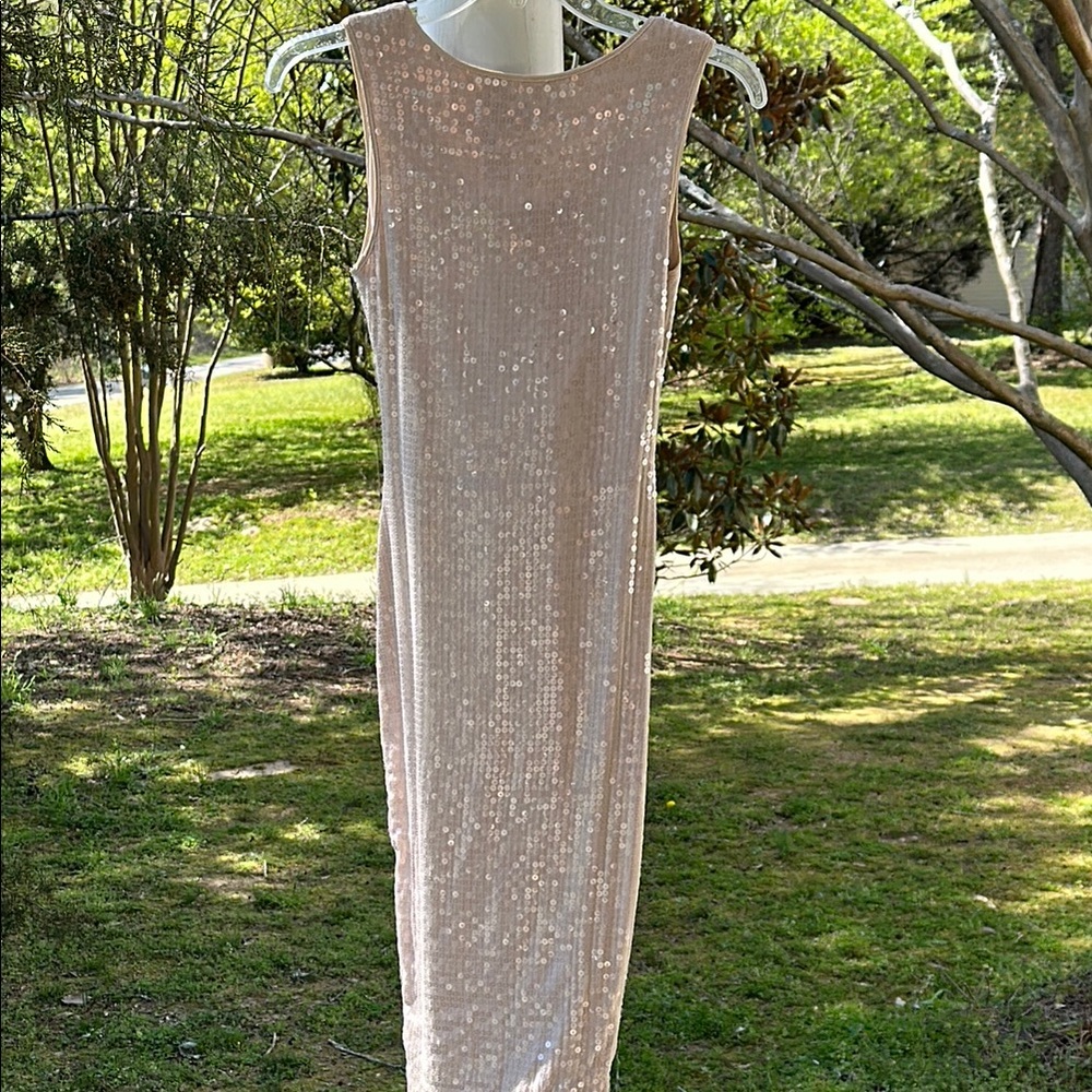 Robert Rodriguez Sequin Dress - Picture 4 of 6
